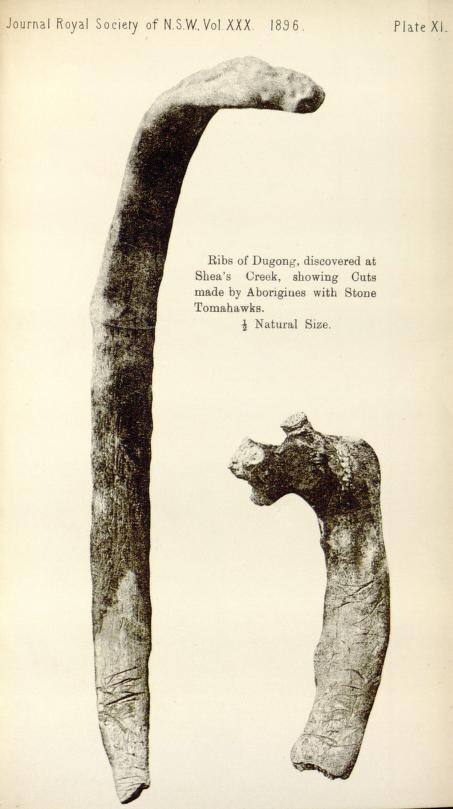 mobot31753002624135_0456